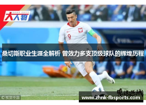 桑切斯职业生涯全解析 曾效力多支顶级球队的辉煌历程