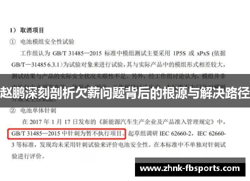 赵鹏深刻剖析欠薪问题背后的根源与解决路径